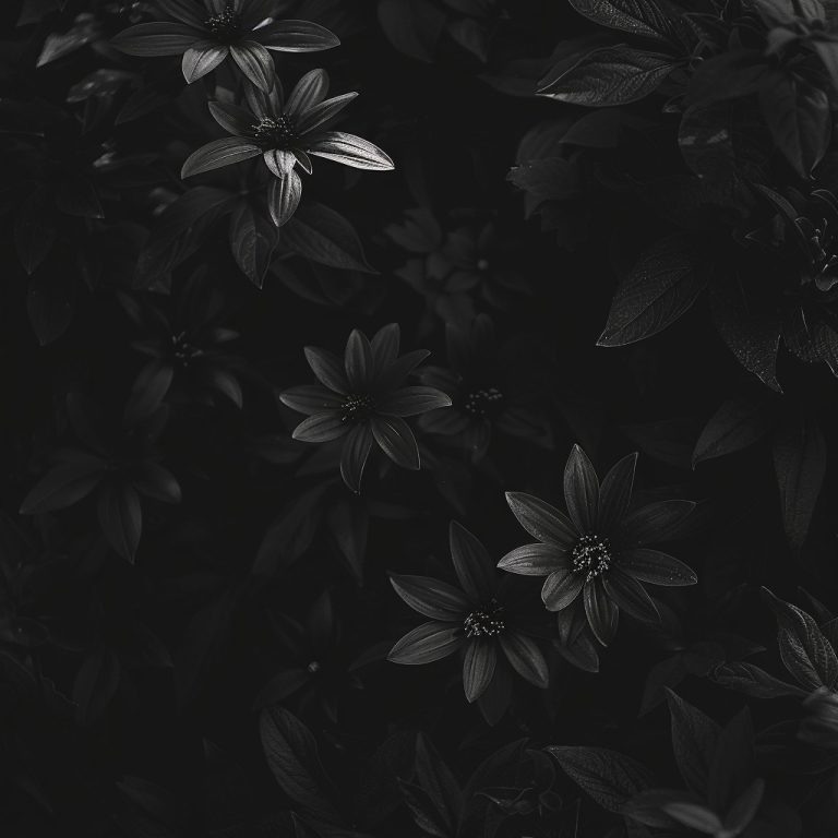 All Black Pfp