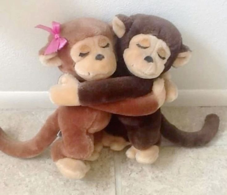Baby Monkey Pfp