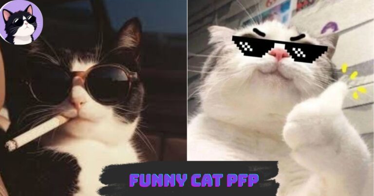 Funny Cat Pfp