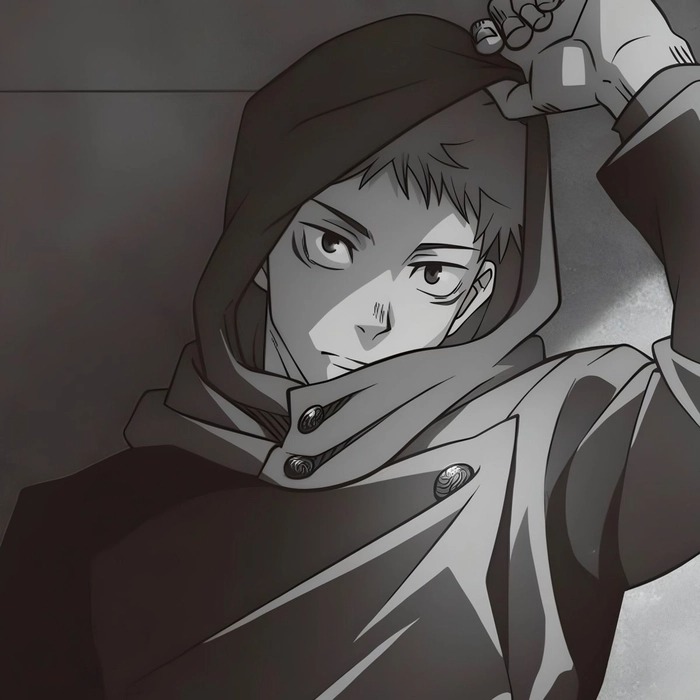 Itadori Yuji Pfp