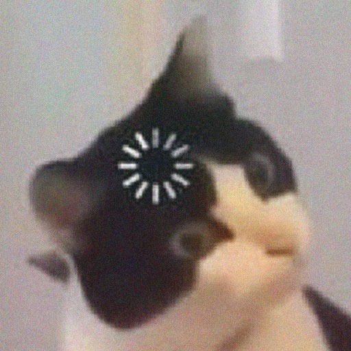 Kawaii Kawaii Funny Cat Pfp
