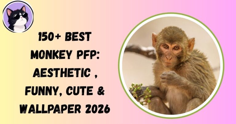 Monkey Pfp
