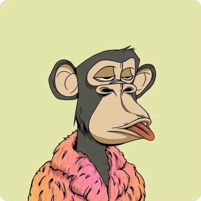Monkey Pfp Funny