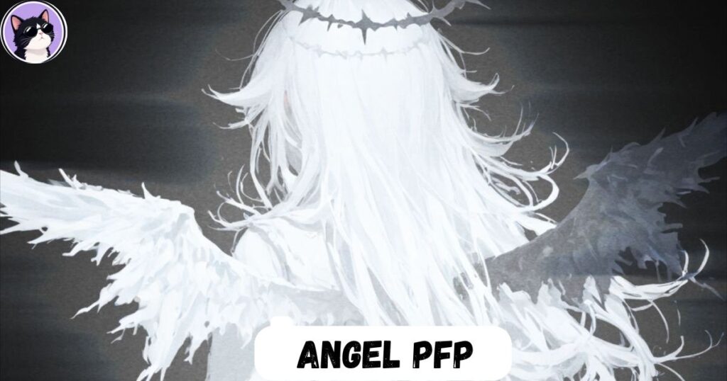 Angel Pfp