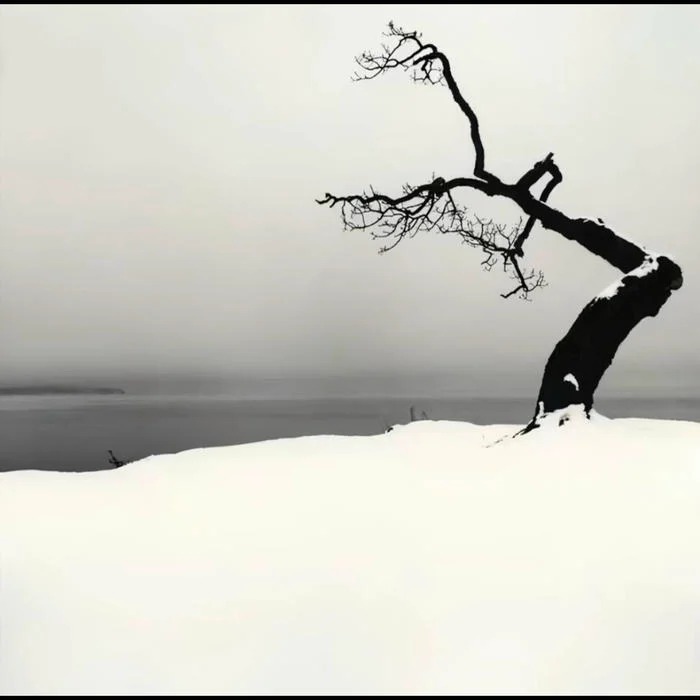 Cool Black And White Wallpaper