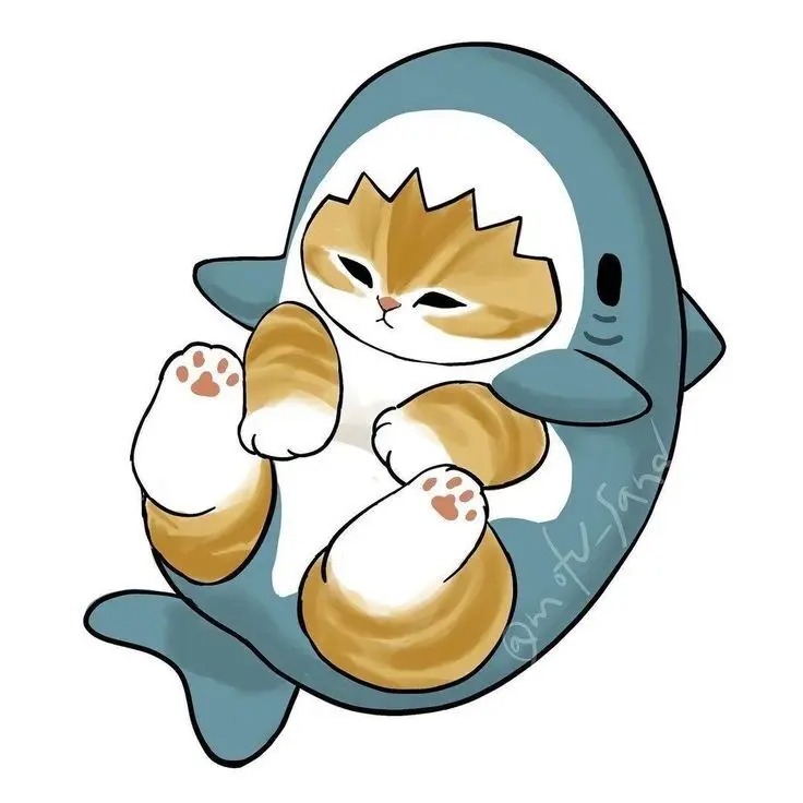 Shark Cat Pfp